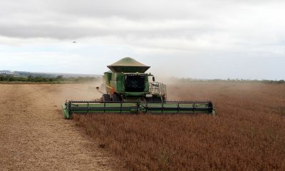 Com o céu nublado no horizonte, trator passa fazendo a colheita de soja em fazenda