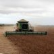 Com o céu nublado no horizonte, trator passa fazendo a colheita de soja em fazenda