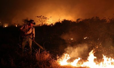 The Wider Image: In Brazil, it