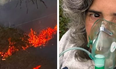 Incêndio em fazenda atriz Lucia Veríssimo