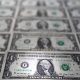 cédulas de dólar
