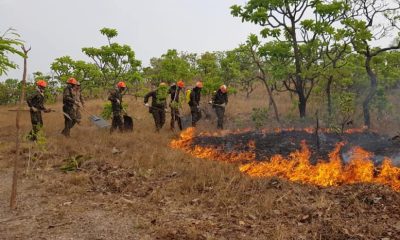 Incêndio volta atingir Pantanal