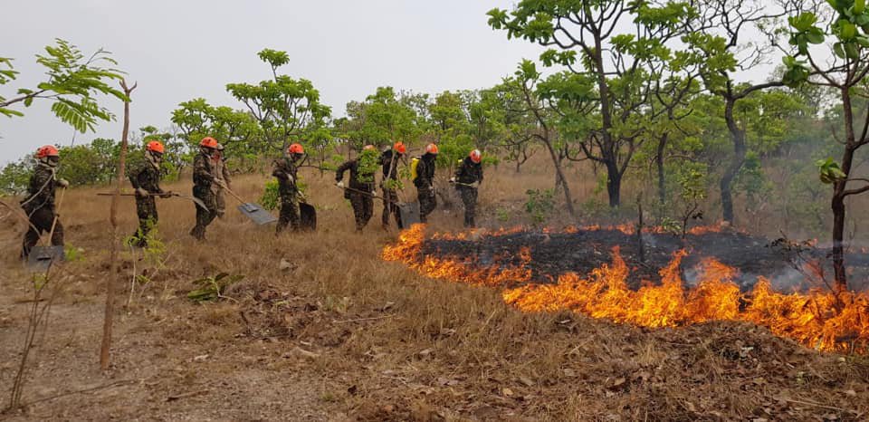 Incêndio volta atingir Pantanal