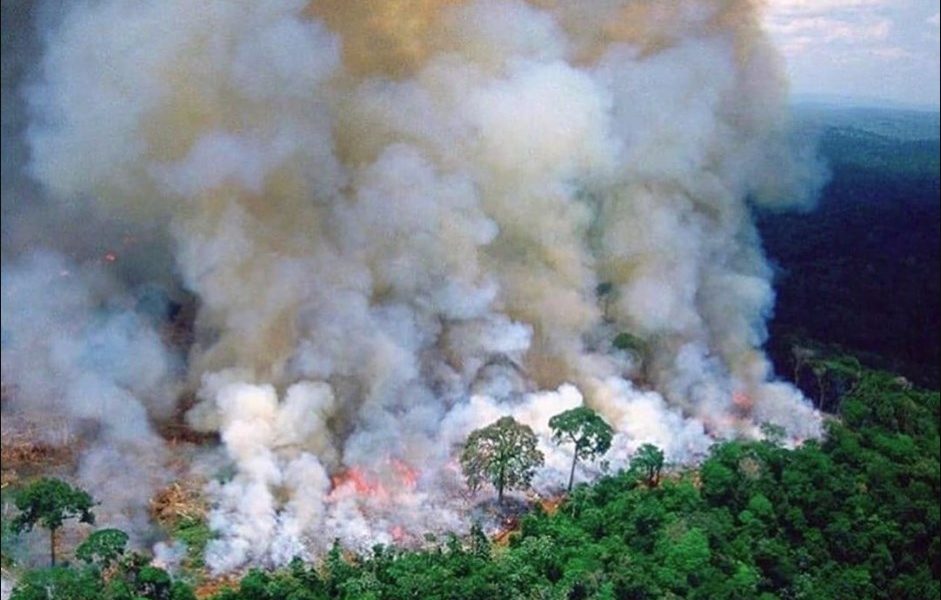 Amazonia