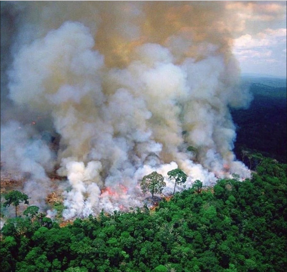 Amazonia
